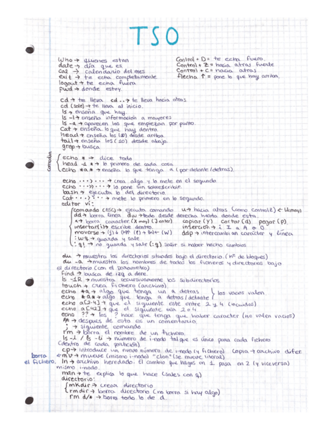 Miniatura del documento TSO-Completo.pdf