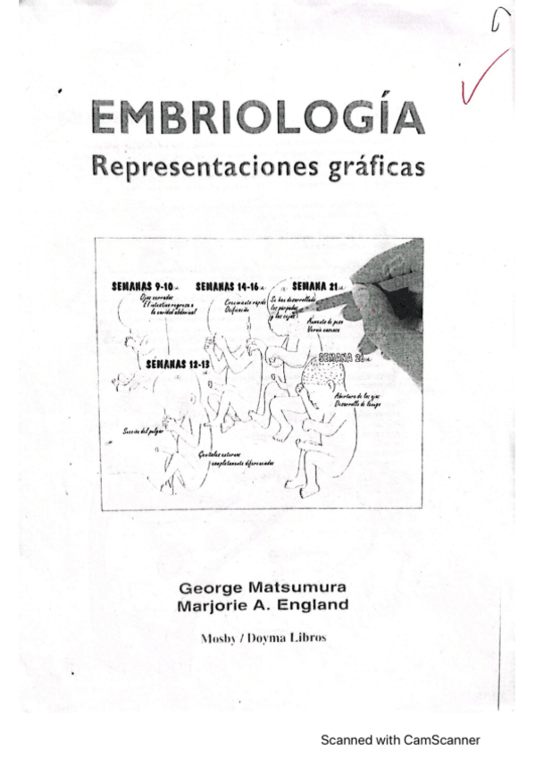 Miniatura del documento LAMINAS-EMBRIOLOGIA.pdf