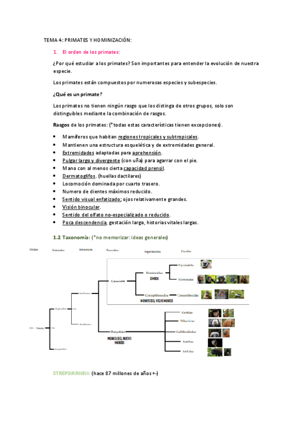 Miniatura del documento TEMA-4 Evolución y conducta.pdf