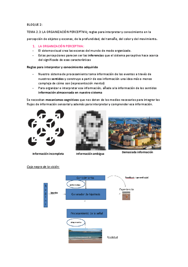 Miniatura del documento BLOQUE-2.4-La-organizacion-perceptiva.pdf