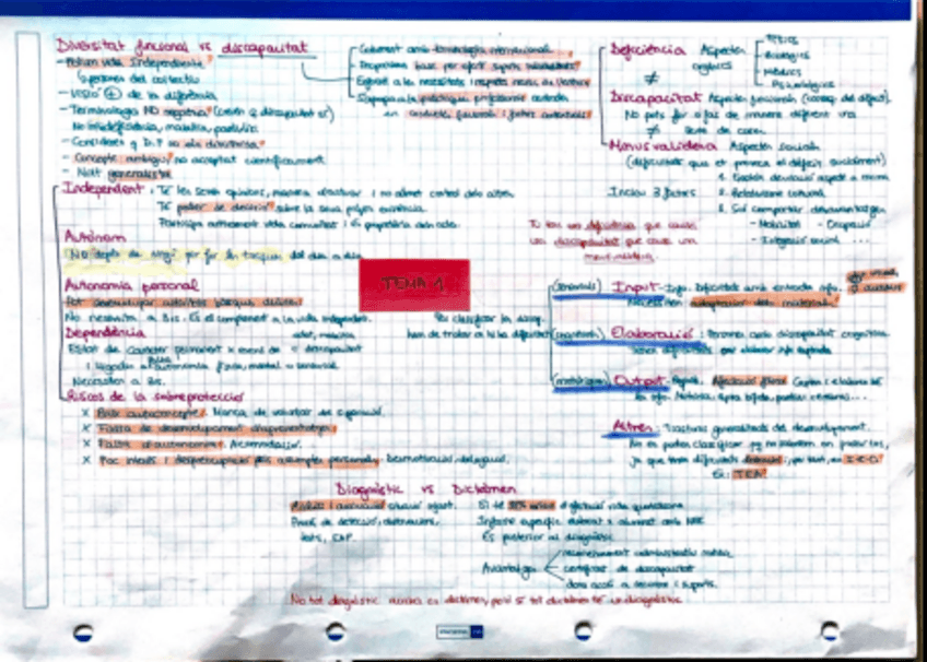 Miniatura del documento Mapes-conceptuals-de-la-teoria.pdf