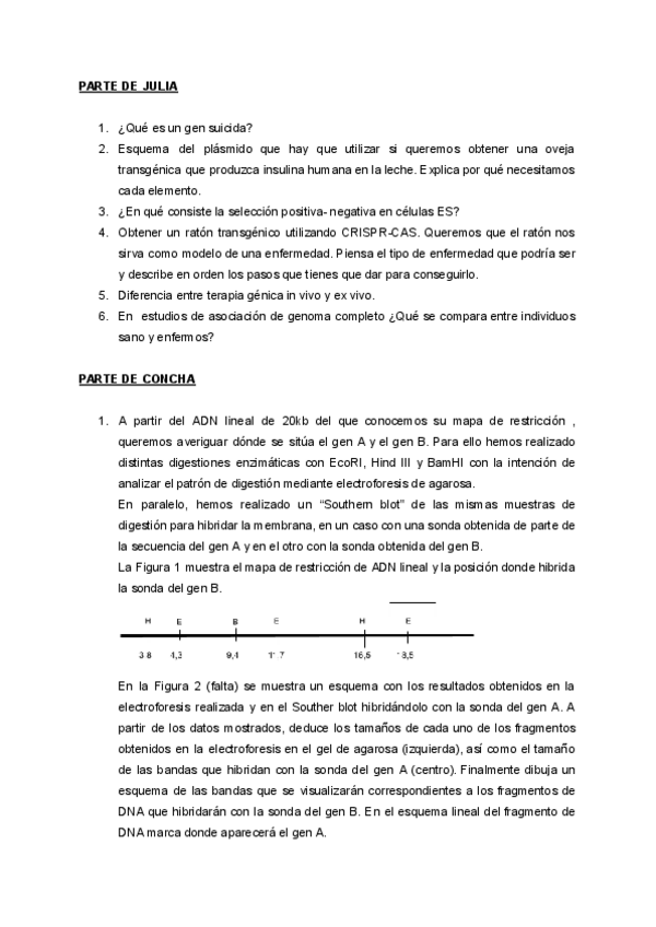 Miniatura del documento Preguntas-Examen-Mayo-2023.pdf