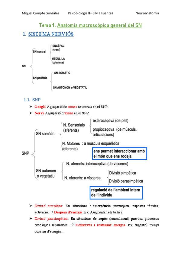 Miniatura del documento TEMA 1. Anatomia macroscòpica general del SN.pdf