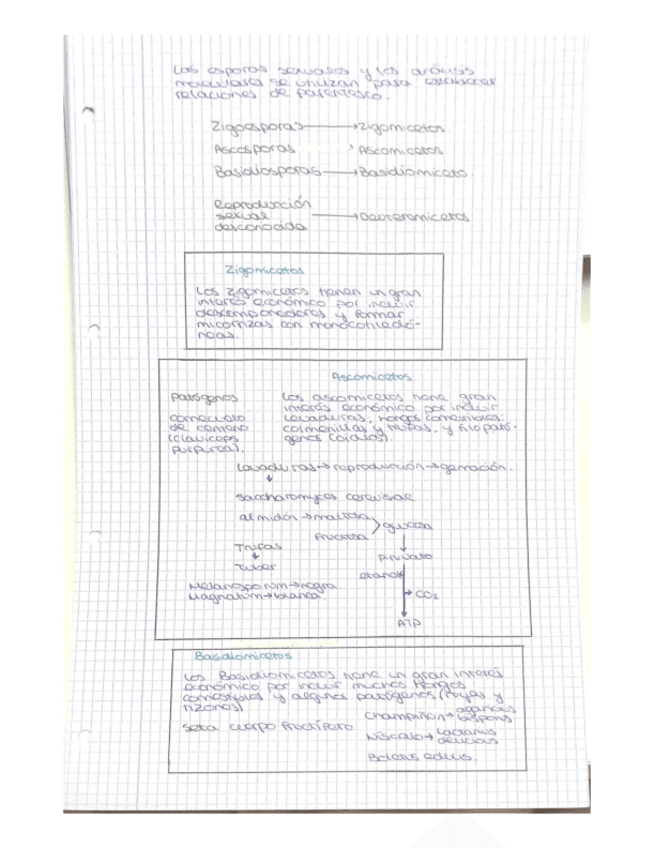 Miniatura del documento Biologia-parte-2.pdf
