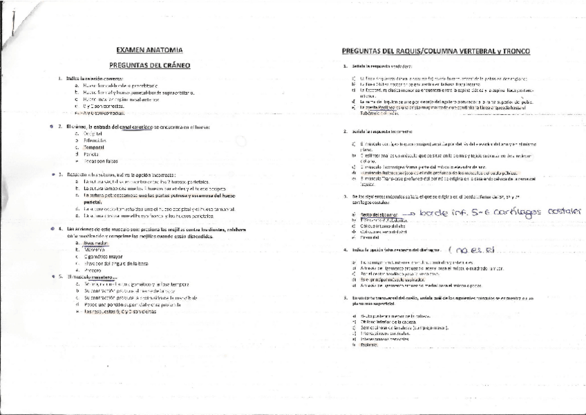 Miniatura del documento Preguntas-por-partes.pdf