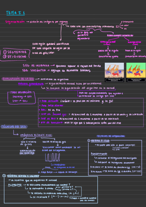 Miniatura del documento Apuntes-hasta-LBP.pdf