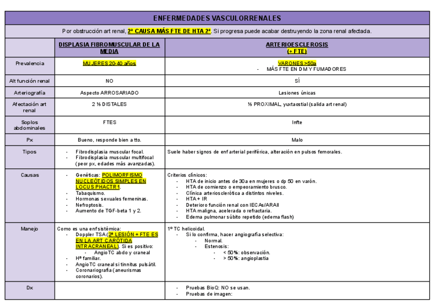 Miniatura del documento ENFERMEDADES-VASCULORRENALES.pdf
