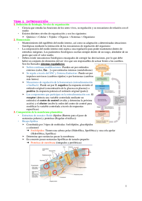 Miniatura del documento TEMARIO-COMPLETO-FISIOLOGIA.pdf