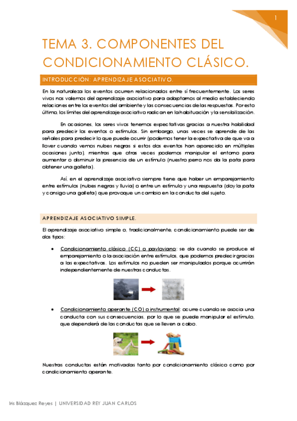 Miniatura del documento TEMA 3. COMPONENTES DEL CONDICIONAMIENTO CLÁSICO.pdf