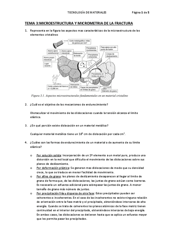 Miniatura del documento TEMA-3.pdf
