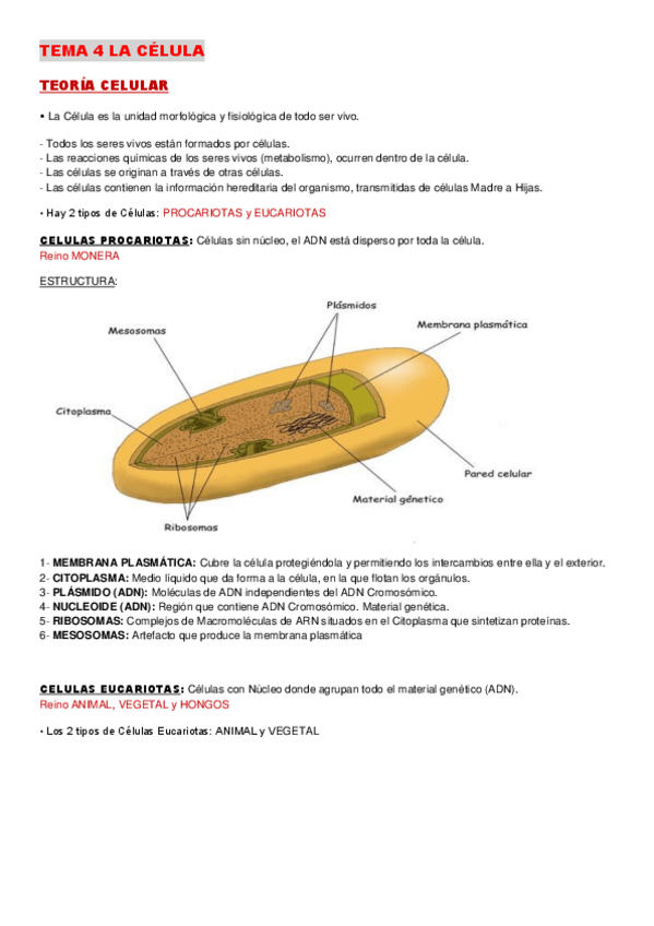 Miniatura del documento apuntes-biologia-la-celula.pdf