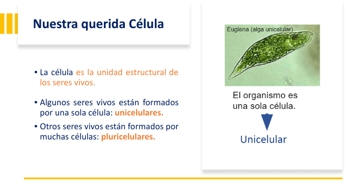 Miniatura del documento Screenshot-2023-06-15-7.09.50-PM.png