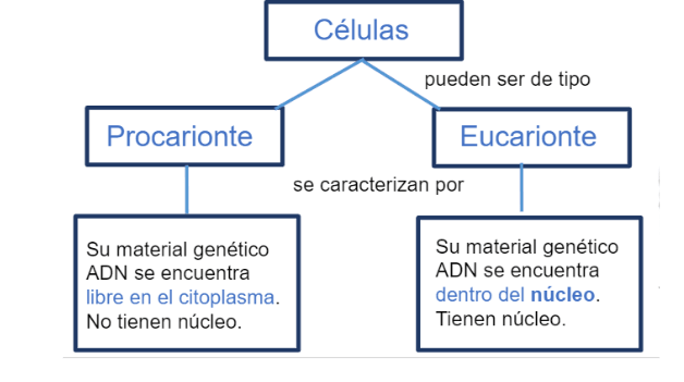 Miniatura del documento Screenshot-2023-06-15-7.10.24-PM.png
