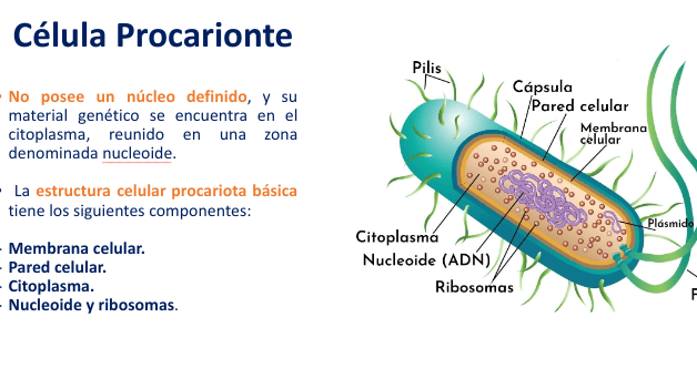 Miniatura del documento Screenshot-2023-06-15-7.10.35-PM.png