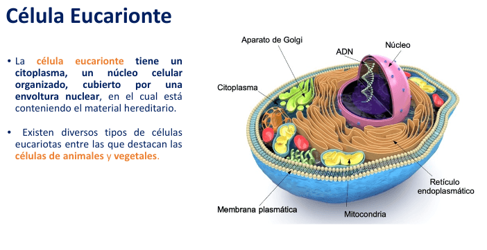 Miniatura del documento Screenshot-2023-06-15-7.11.03-PM.png