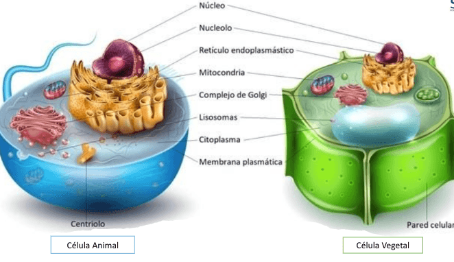 Miniatura del documento Screenshot-2023-06-15-7.11.36-PM.png