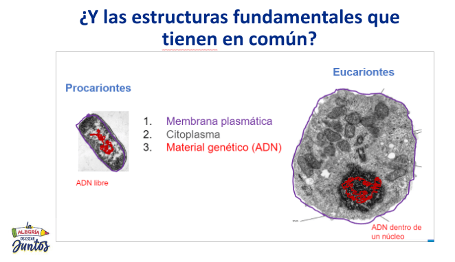 Miniatura del documento Screenshot-2023-06-15-7.11.45-PM.png