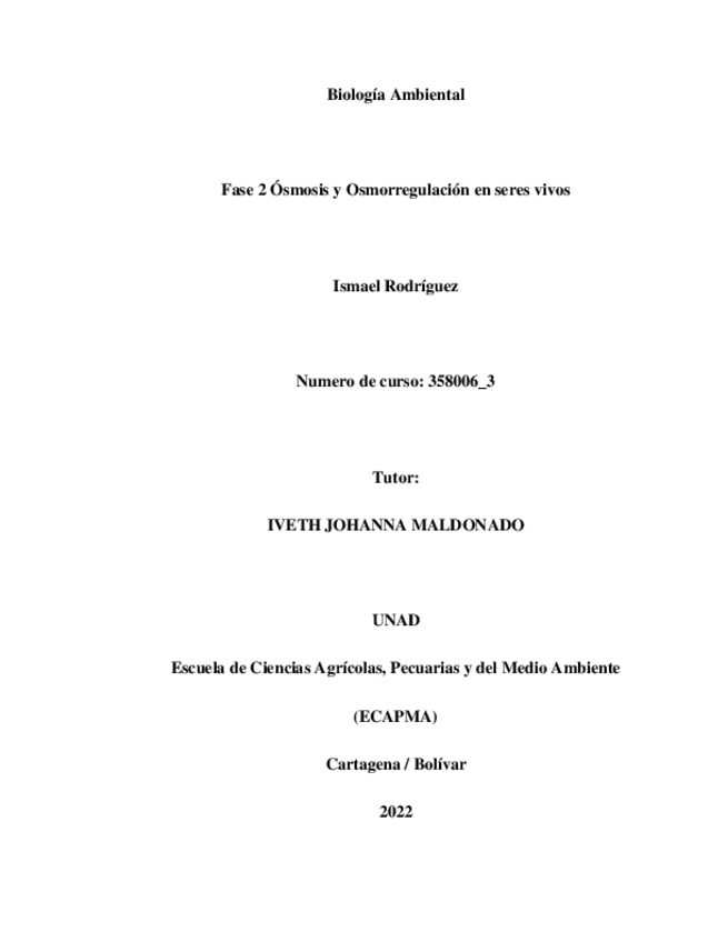 Miniatura del documento Fase-2IsmaelRodriguez..pdf