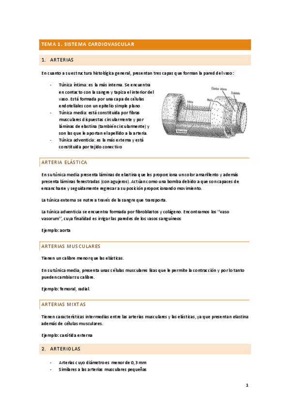 Miniatura del documento SEGUNDO-PARCIAL.pdf