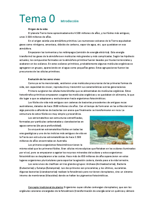 Miniatura del documento Tema 0  Introducción.pdf