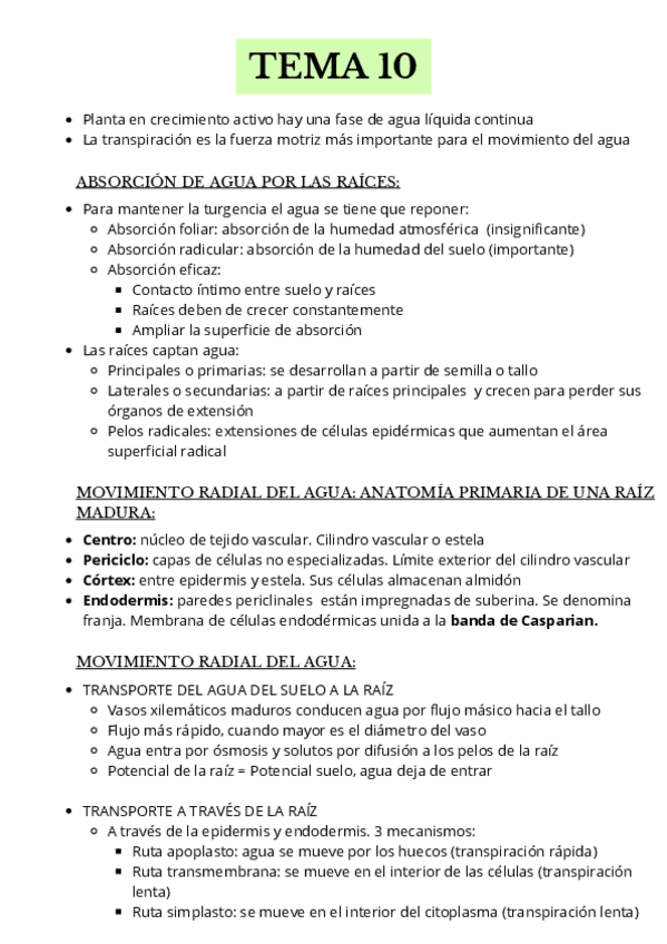 Miniatura del documento TEMA-10-Esquema-Vegetal.pdf
