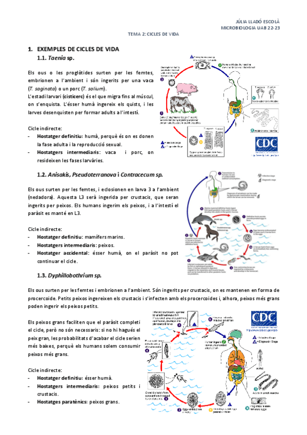 Miniatura del documento Tema-2-Cicles-de-vida.pdf