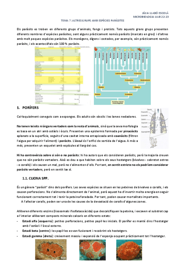 Miniatura del documento Tema-7-Altres-grups-amb-especies-parasites.pdf
