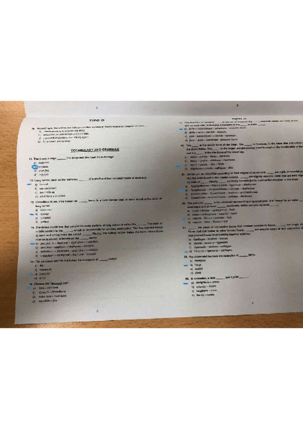 Miniatura del documento 1o-parcial.pdf