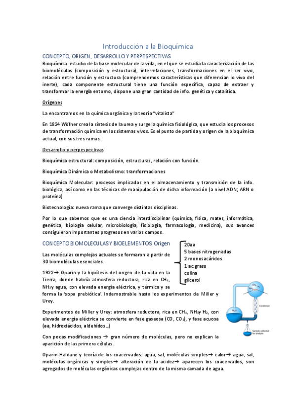 Miniatura del documento Introduccion-a-la-Bioquimica.pdf