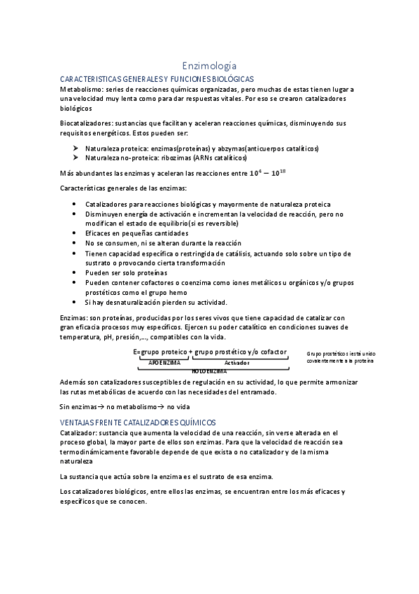 Miniatura del documento Enzimologia.pdf