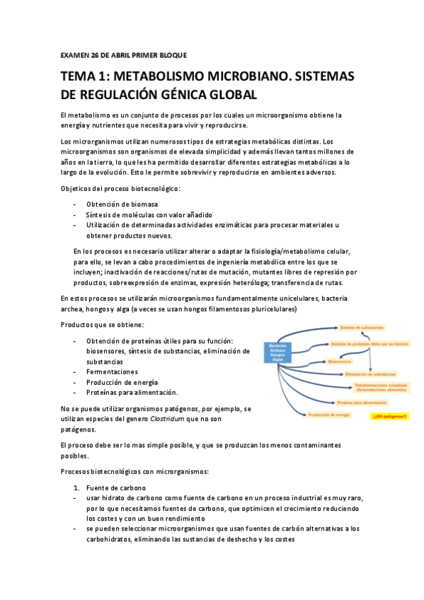 Miniatura del documento Tema 1.pdf