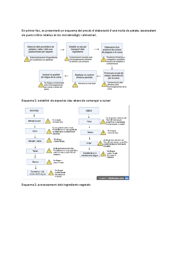 Miniatura del documento P1: truita(detallada).pdf