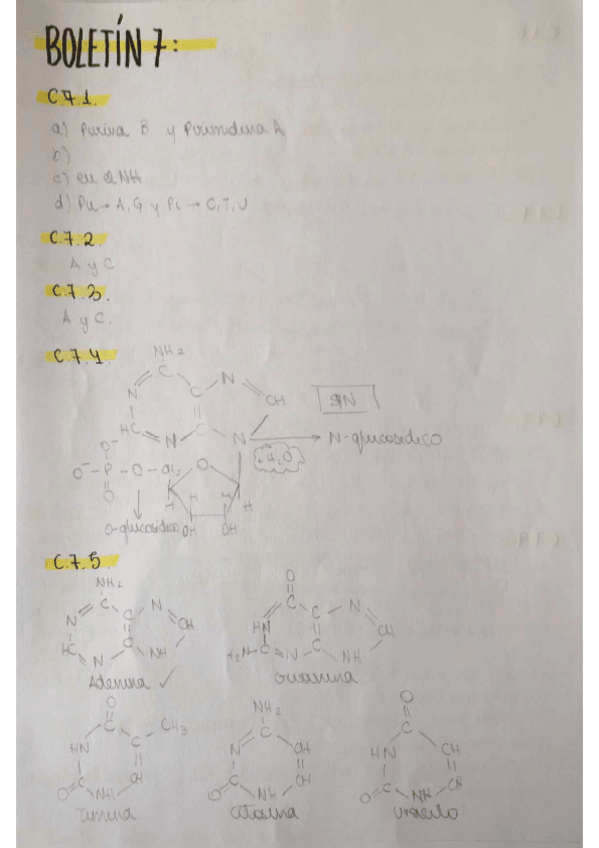 Miniatura del documento ejercicios-boletin-7-ac.nucleicos.pdf