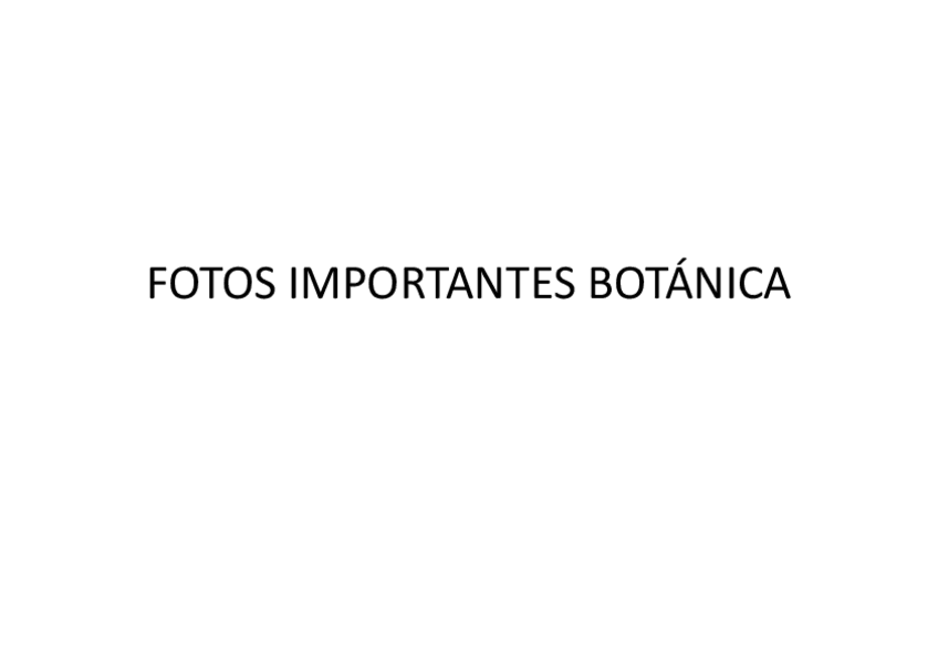 Miniatura del documento fotos-importantes-examen-botanica.pdf