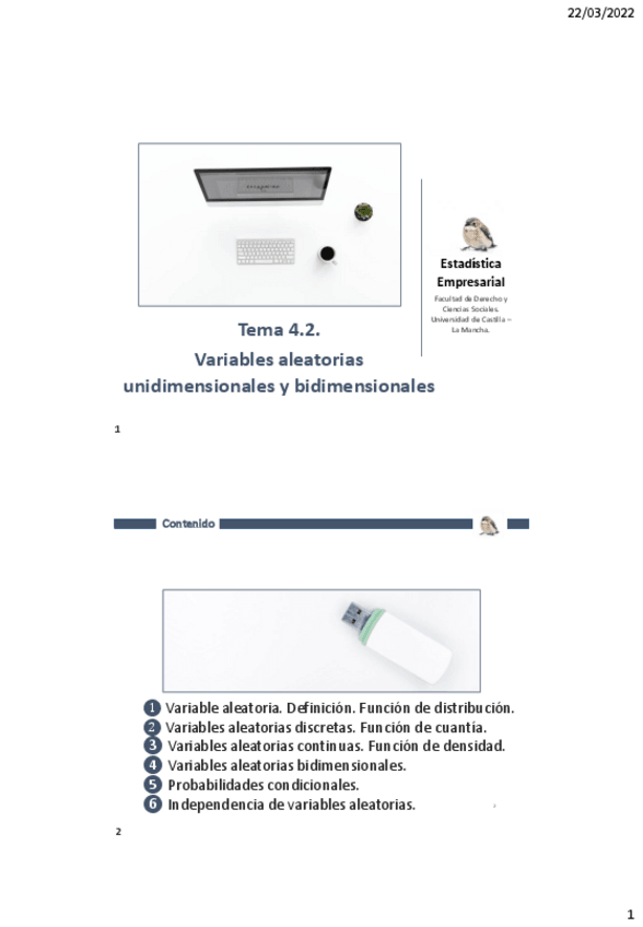 Miniatura del documento TEMA-7-Variables-aleatorias-unidimensionales-y-bidmensionales.pdf