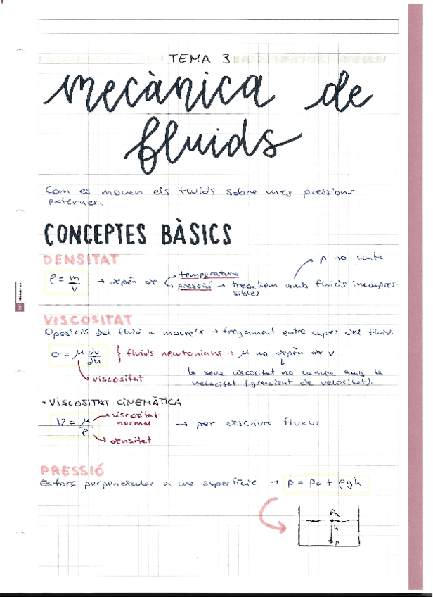 Miniatura del documento mecanica-de-fluids-T.3.pdf