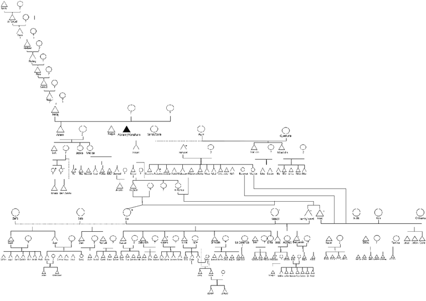 Miniatura del documento Esquema-trabajo-final.pdf