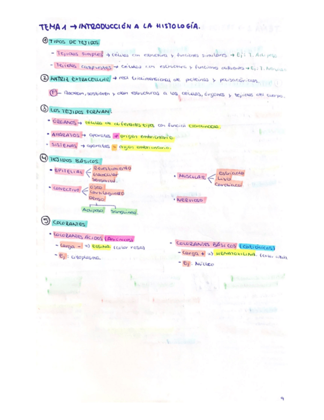 Miniatura del documento BIOLOGIA-CELULAR-HISTOLOGIA.pdf