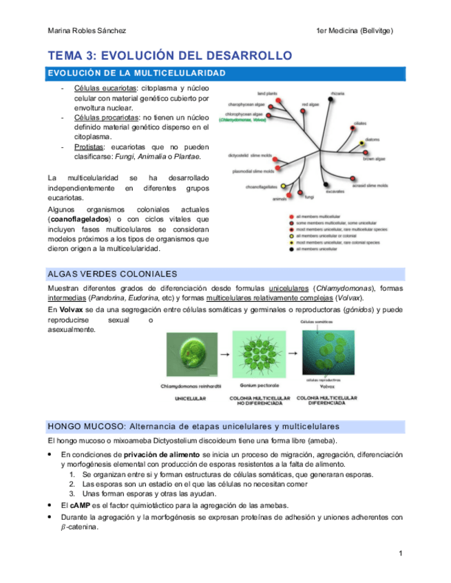 Miniatura del documento BCD-1a-parte.pdf