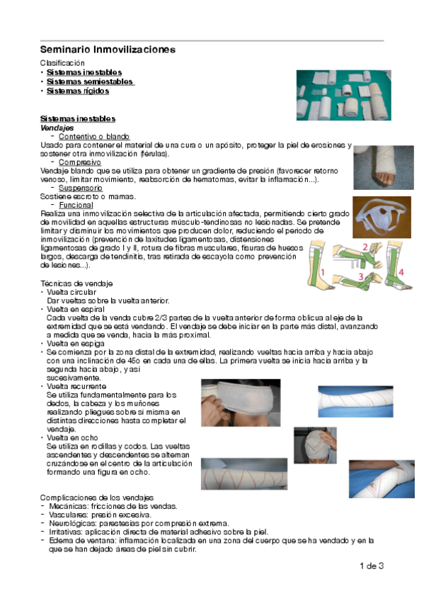 Miniatura del documento seminario-inmovilizaciones.pdf
