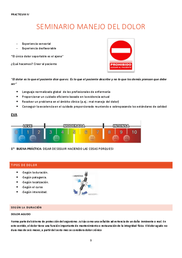 Miniatura del documento SEMINARIO-MANEJO-DEL-DOLOR.pdf
