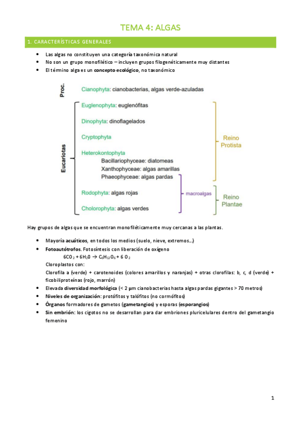 Miniatura del documento TEMA-4-BOTANICA.pdf