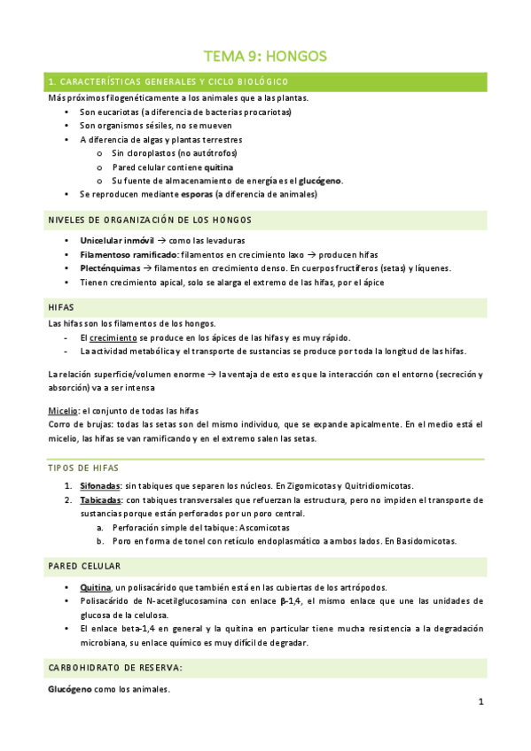 Miniatura del documento TEMA-9-BOTANICA.pdf