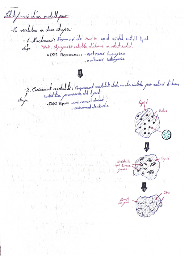 Miniatura del documento Resumen-Tema-Solidifcacio-dun-Metall-Pur.pdf