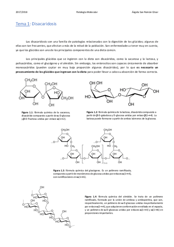 Miniatura del documento 1. Disacaridosis.pdf