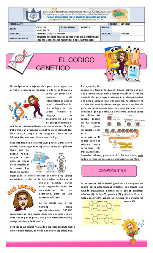Miniatura del documento EL-CODIGO-GENETICO.pdf