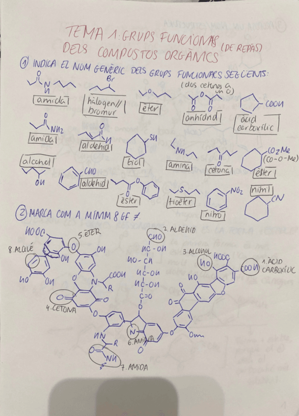Miniatura del documento EXERCICIS-DE-REPAS-TEMA-1.pdf