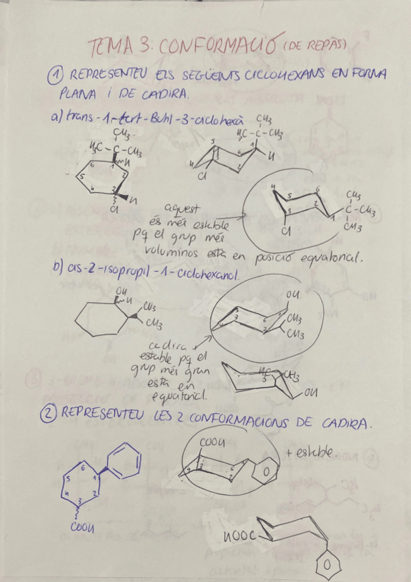 Miniatura del documento EXERCICIS-DE-REPAS-TEMA-3.pdf