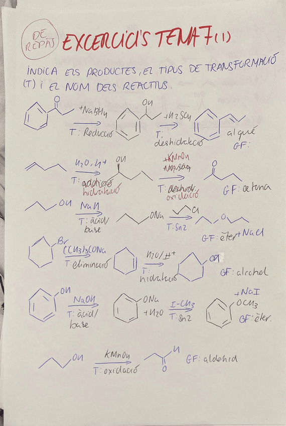 Miniatura del documento EXERCICIS-DE-REPAS-TEMA-7.pdf