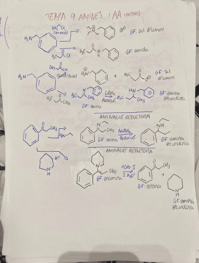Miniatura del documento EXERCICIS-DE-REPAS-TEMA-9.pdf